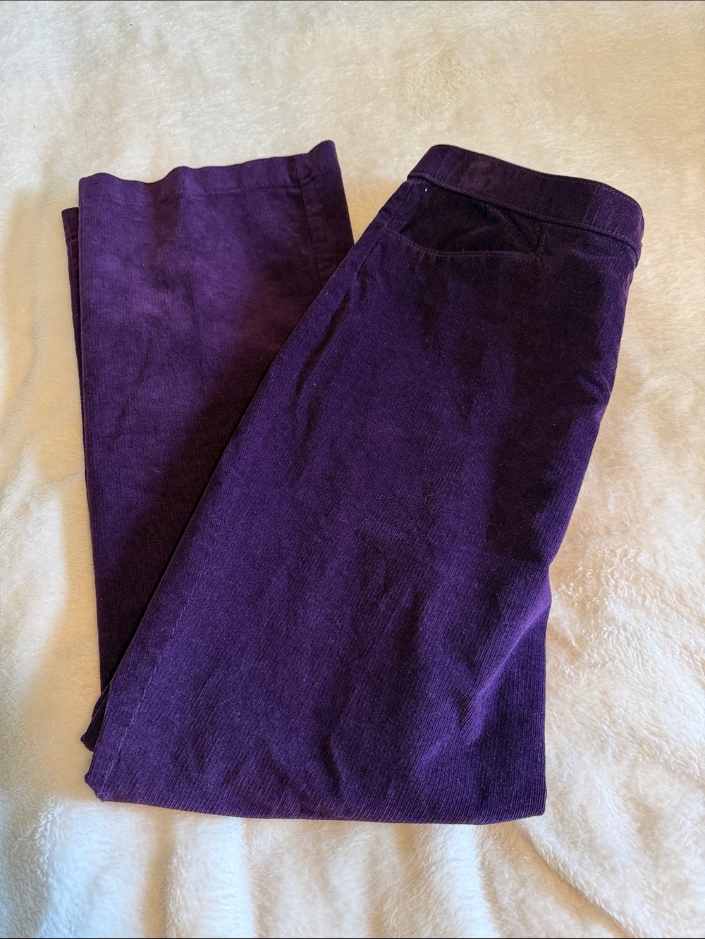 Vintage Northern Reflections Deep Purple Corduroy Pants Size 12P